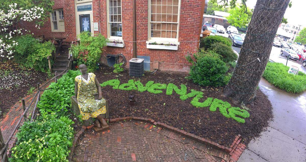The word "adventure" is planted near Carr Mill Mall in Carrboro for the 2018 Floraffiti project — plants popping out of the ground in the shape of words. Floraffiti is a combination of the words flora and graffiti.