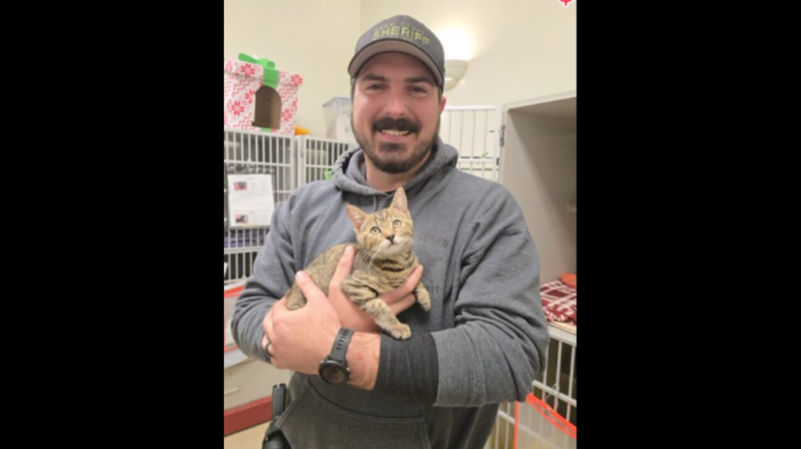 A kitten darted across I-540. A Wake deputy swerved — then ran back