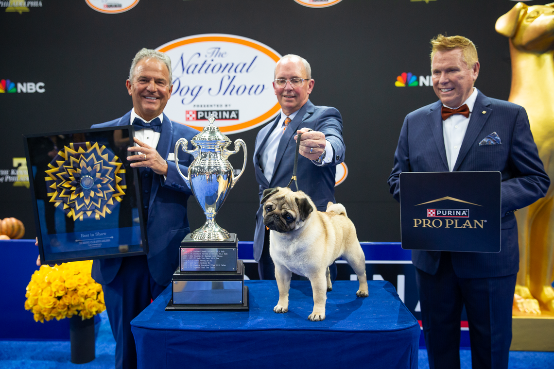 Vito is held by handler Michael Scott, alongside judge George Milutinovich and Purina Breeder Enthusiast Team member Corey Benedict.