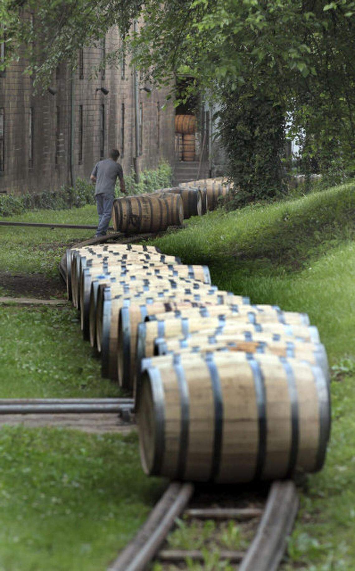 BIZ WBS-BOURBON-BIZPLUS 7 LX