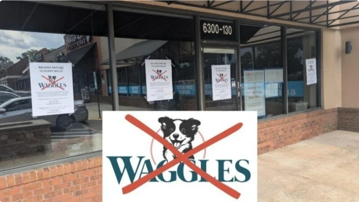 A Change.org petition gathered more than 700 signatures early Tuesday organizing opposition to the pet store Waggles in Raleigh. The signs on the storefront had been removed by Tuesday morning.