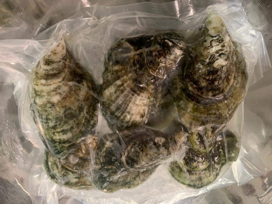 “Ready to slurp” oysters on the half shell at Jimmy’s Dockside (the former Saint James Seafood) in Durham.