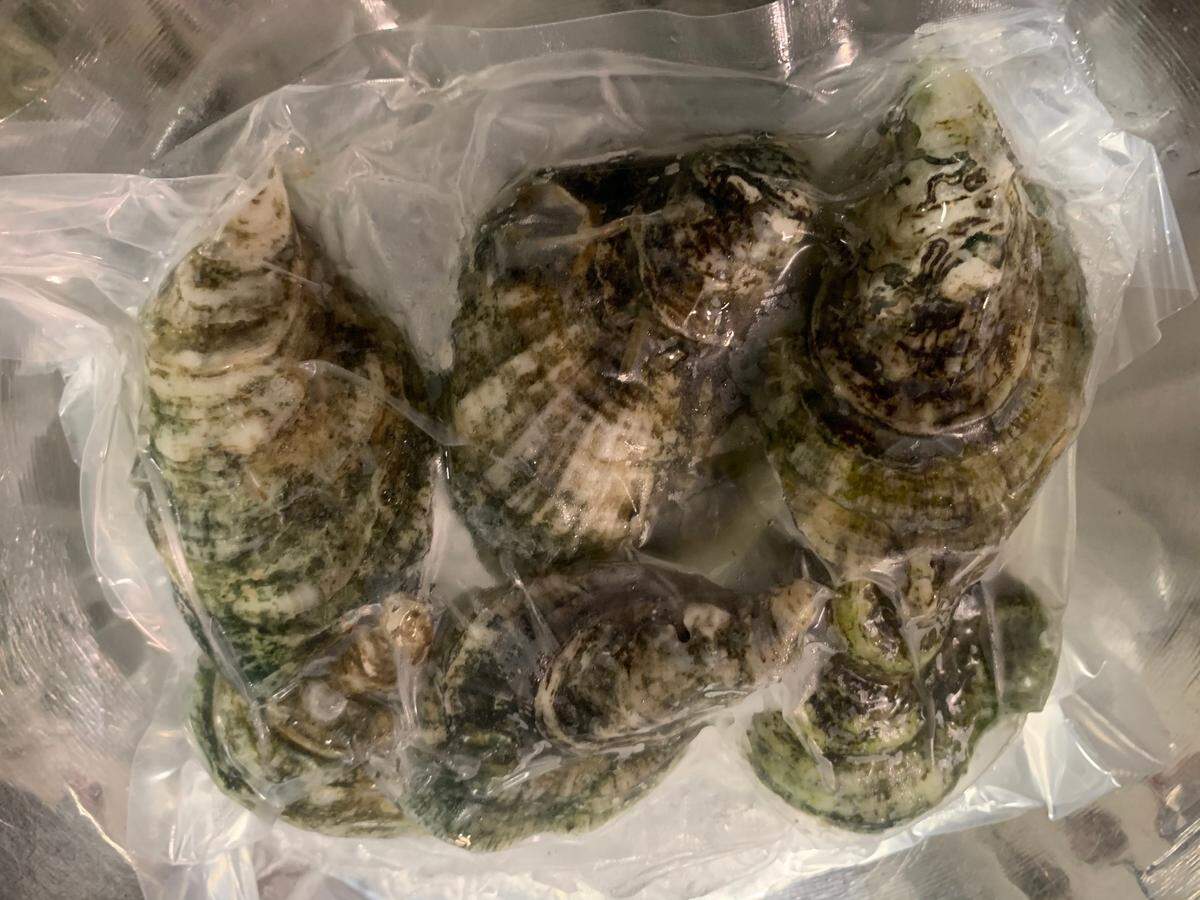 “Ready to slurp” oysters on the half shell at Jimmy’s Dockside (the former Saint James Seafood) in Durham.