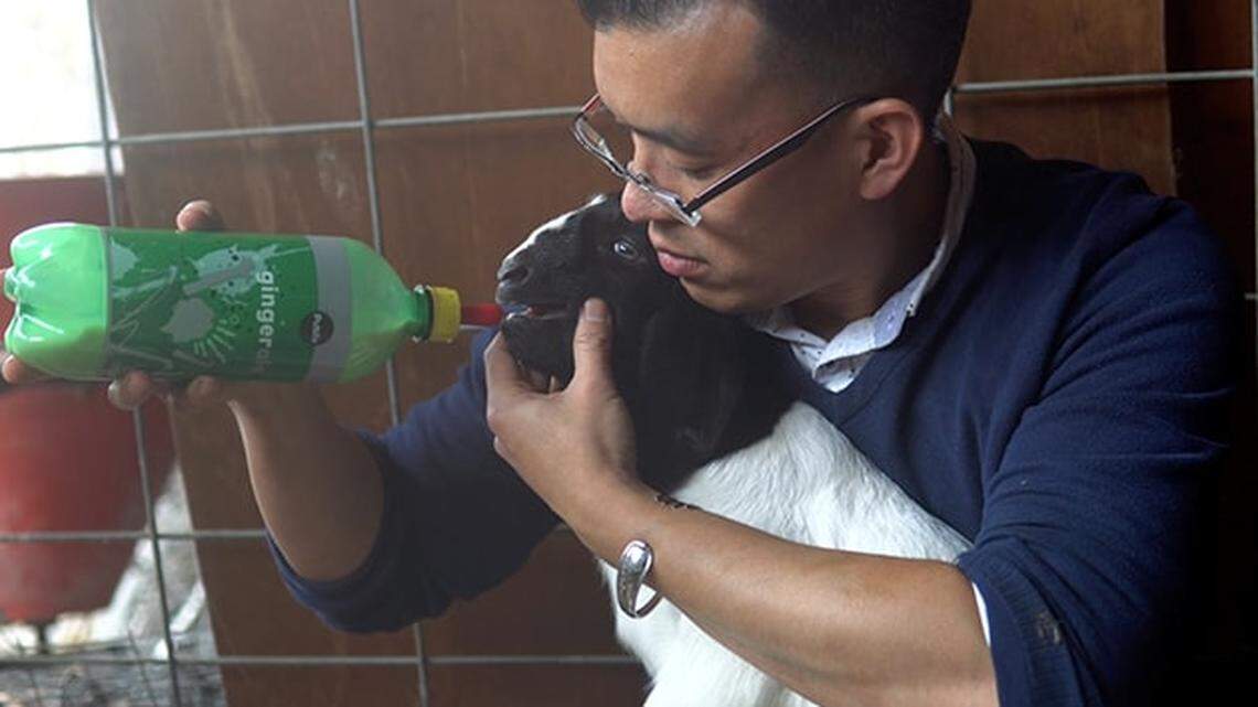 Animal activist Wayne Hsiung and goat kid, Rain.