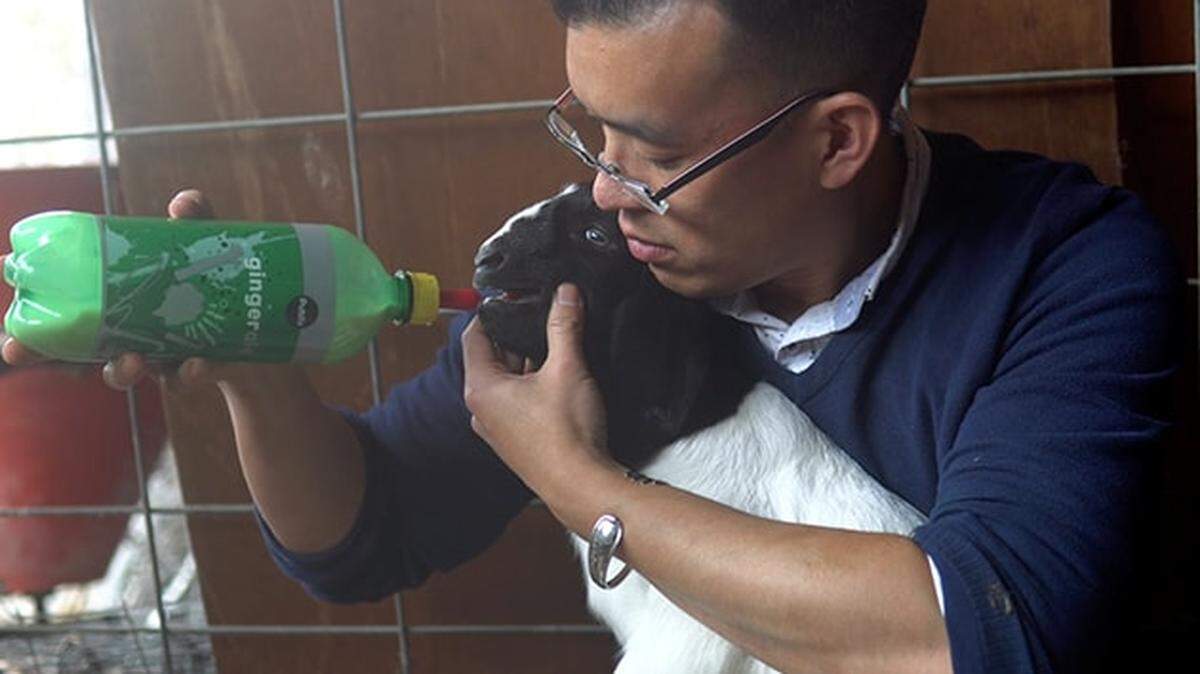 Animal activist Wayne Hsiung and goat kid, Rain.