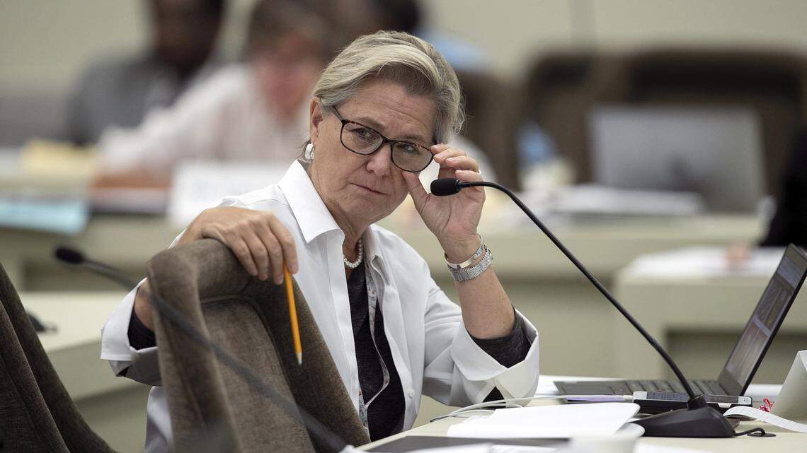 The year ahead: North Carolina state Rep. Deb Butler