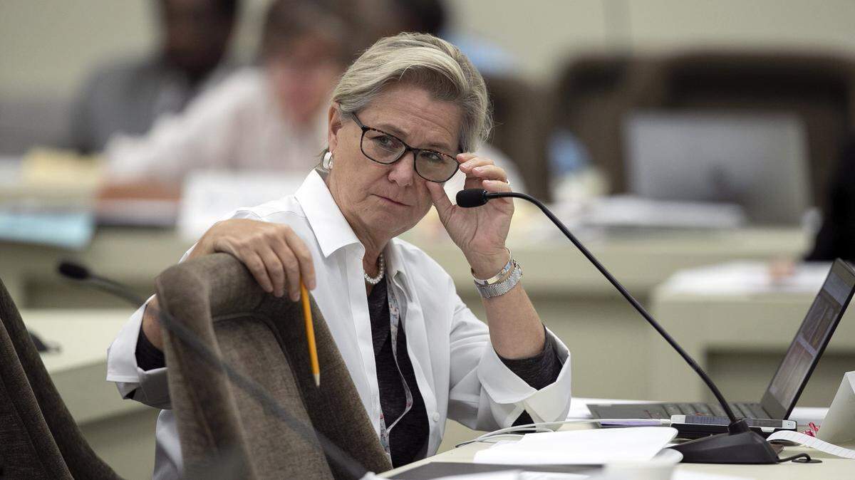 The year ahead: North Carolina state Rep. Deb Butler