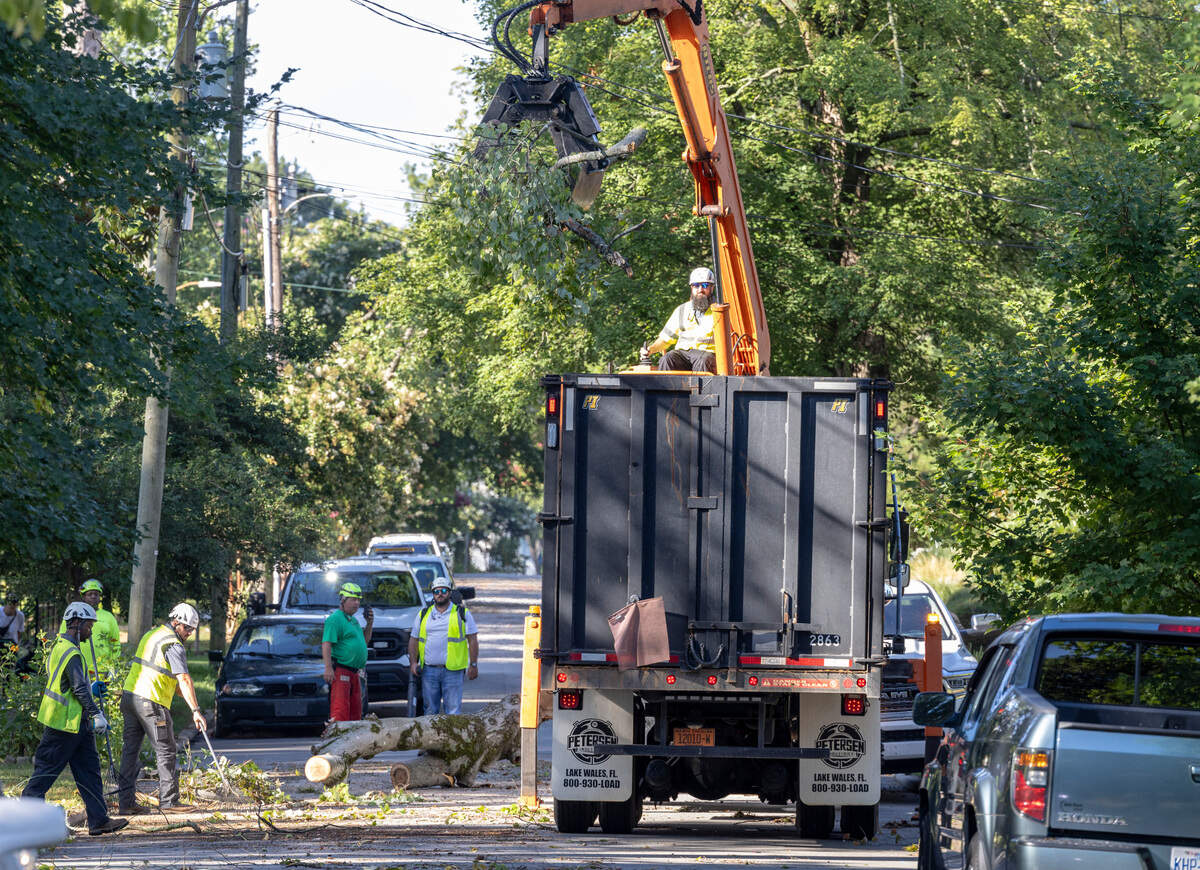 City of Raleigh workers remove storm debris on Mordecai Drive in Raleigh Tuesday morning, August 8, 2023 following a severe thunderstorm that swept across the Triangle and much or North Carolina on Monday.
