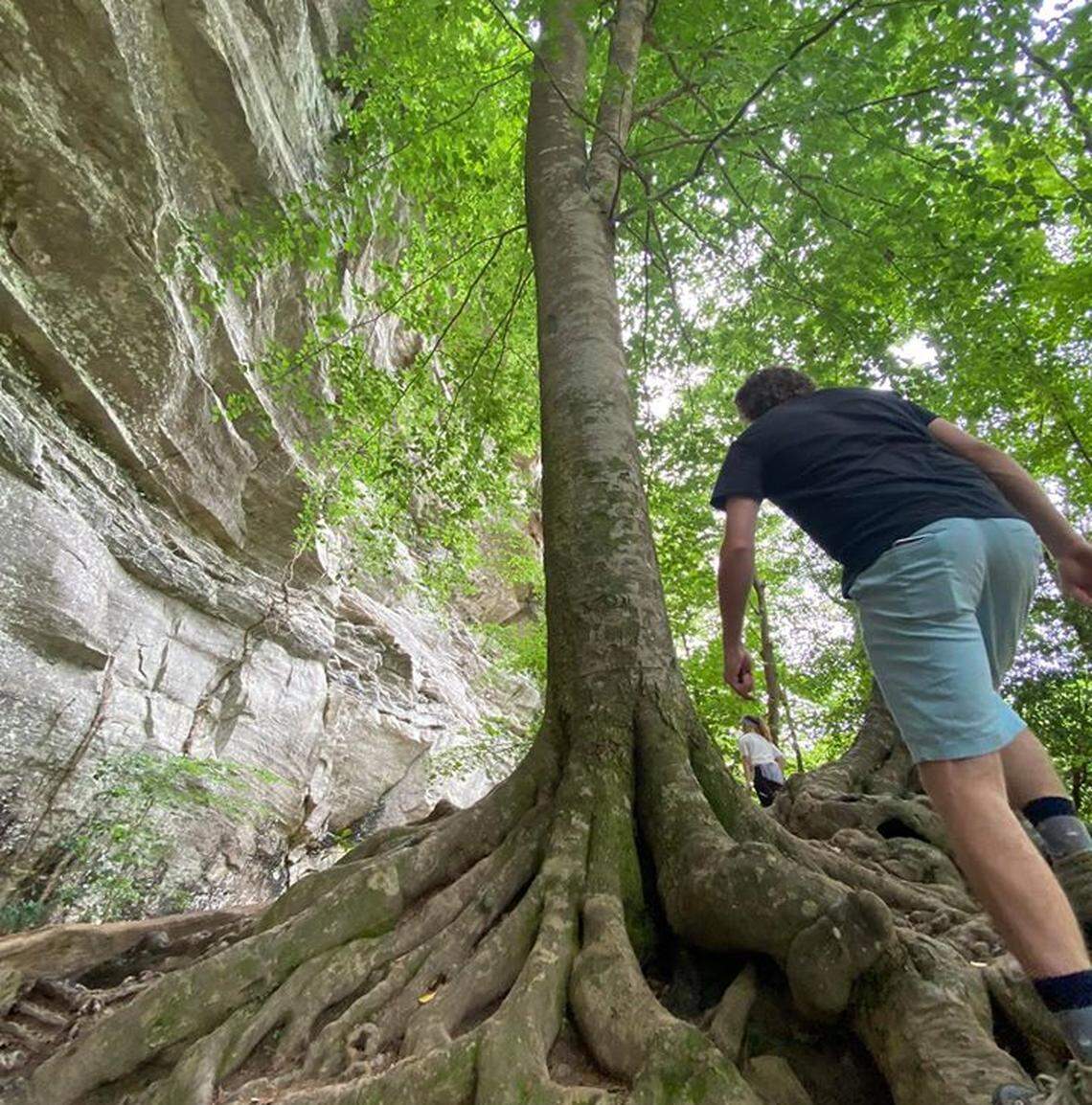 Ethan Reynolds of Andover, N.Y., hikes through Raven Rock State Park near Lillington on a family outing during the pandemic. The park is one of several that hits capacity most weekend mornings as people search for places to explore outdoors.