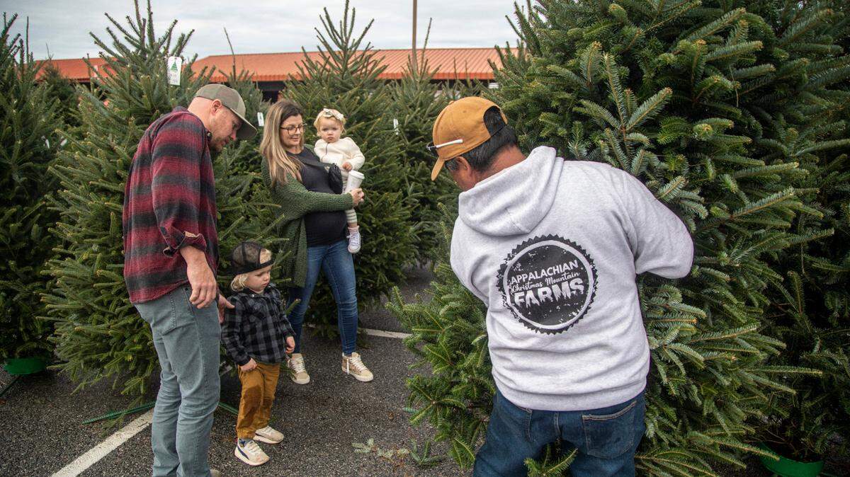 Chad and Allaina Metzger and their sons Welden, 3, and Brady, 1, pick out a Christmas tree Friday morning, Nov. 25, 2022 at the State Farmers Market in Raleigh as farmworker Cipriano Garcia prepares to trim and tie the tree for its journey home. The market was busy with families buying Christmas trees after the Thanksgiving holiday.