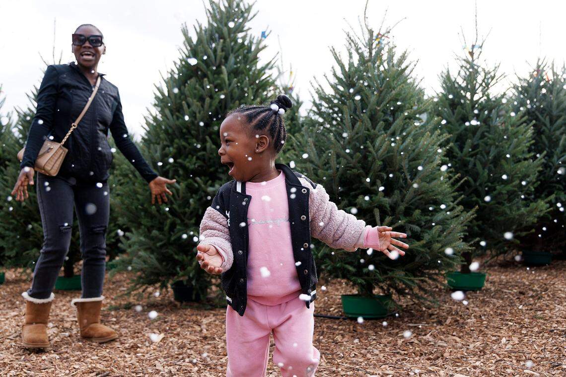 Nikia Lucas plays in artificial snow with her daughter, Meilani Rogers, 3, while looking for a Christmas tree from River Ridge Tree Farms at the North Carolina State Farmers Market on Monday, Nov. 20, 2023, in Raleigh, N.C.