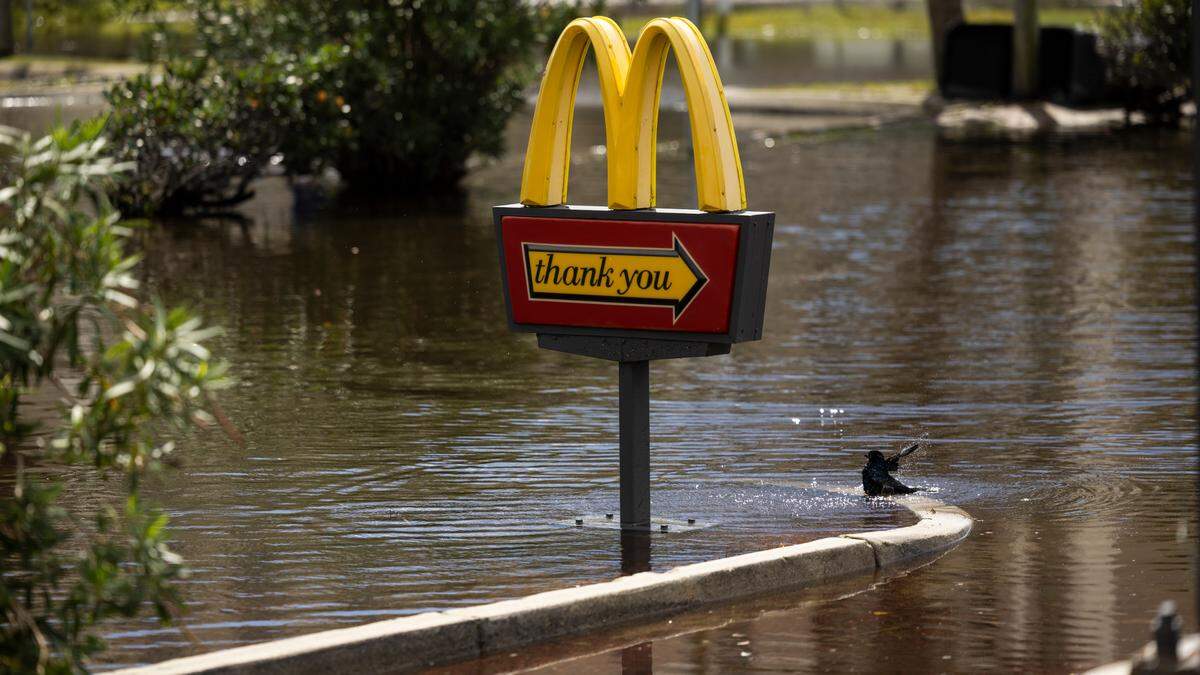 A bird bathes as floodwaters recede in Carolina Beach on Tuesday, Sept. 17, 2024 after an unnamed storm dropped as much as 18 inches of rain in part of southeastern North Carolina over a 72-hour period. Flood Levels in Carolina Beach rivaled that of Hurricane Floyd in 1999.