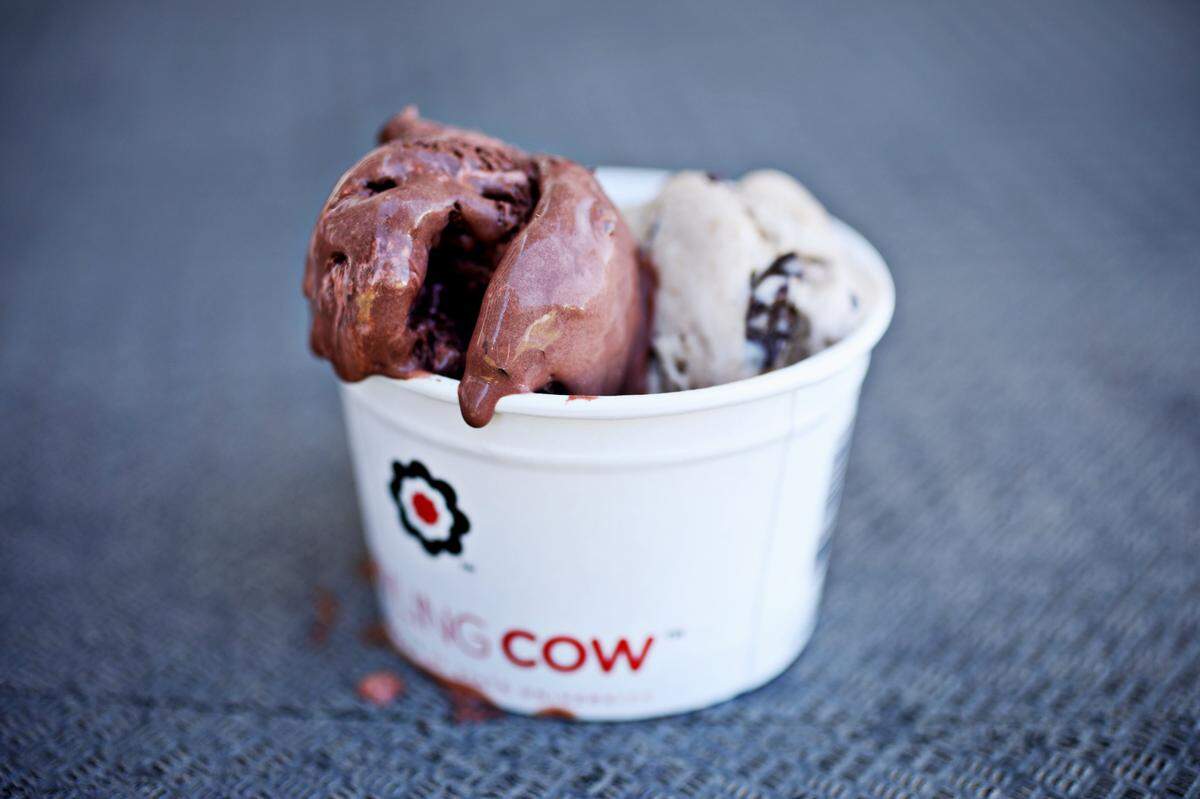 N.C. State’s Howling Cow ice cream in Provost’s Choice and Cherry Brick Road.