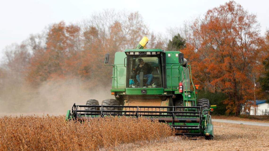 Tom Vinson uses a combine to harvest soybeans in Clayton, N.C. on Friday, Dec. 7, 2018.