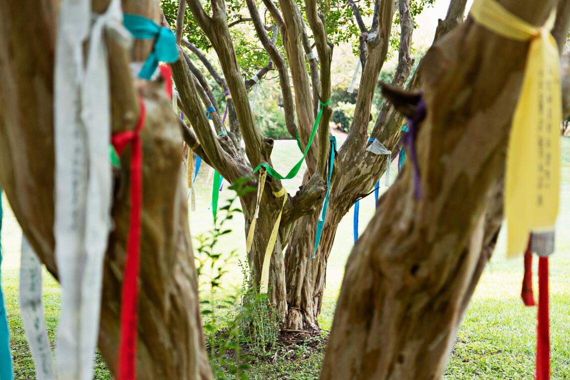 The Grove of Remembrance in Raleigh’s Oakwood Cemetery is made up of four crepe myrtles that stand side-by-side in a grassy field where families and friends can tie ribbons with the names of loved ones who have died.