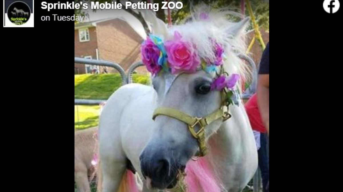 “We will not stop looking for this monster that did this,” the owners said.