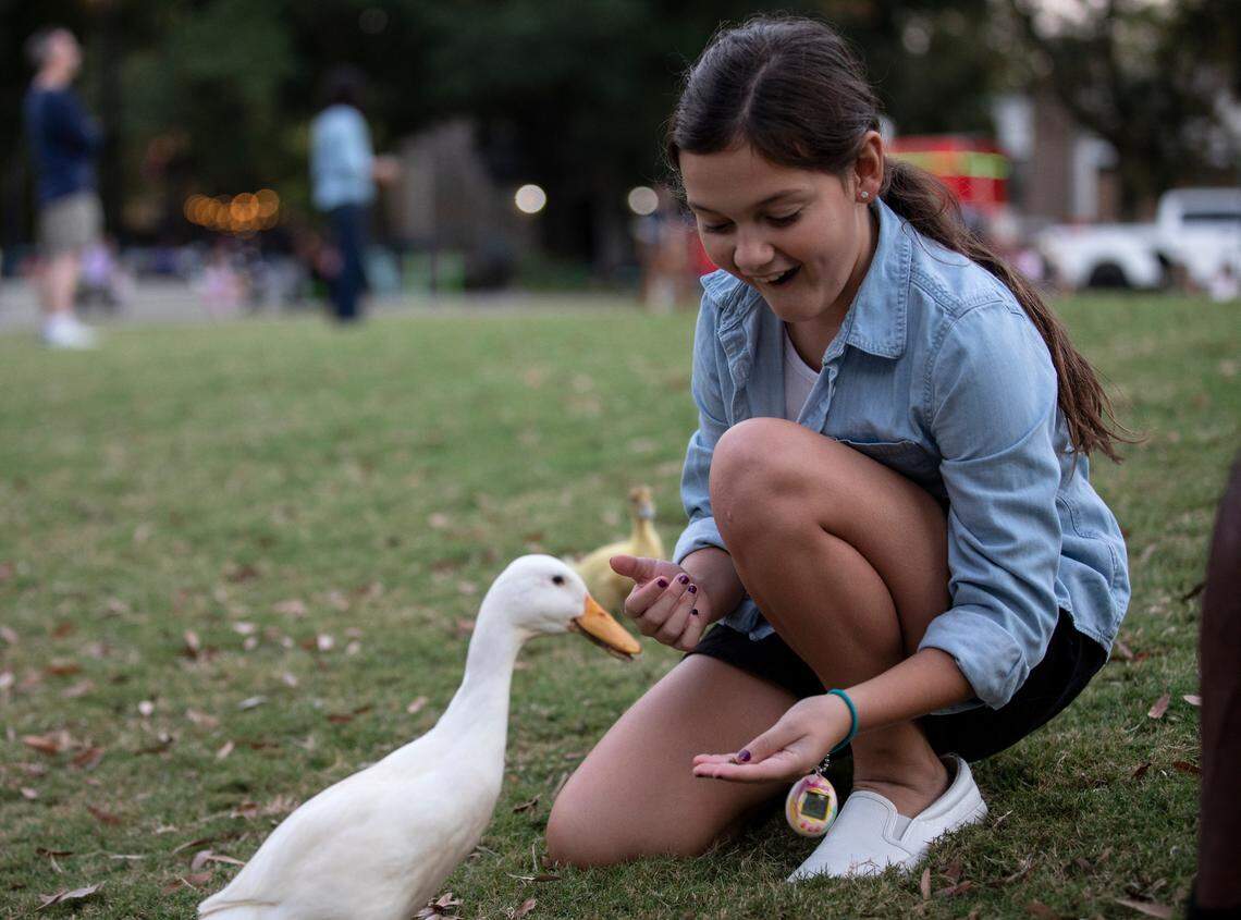 Ella Decker, 11, reacts as she greets LaQuisha, a Bantam Silkie duck, during a jazz concert at Moore Square on Thursday, Oct. 13, 2022, in Raleigh, N.C.