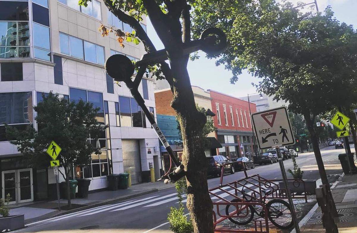 An electric Bird scooter was spotted in a tree along Wilmington Street. The electric scooters arrived in parts of Raleigh, including downtown, in July.