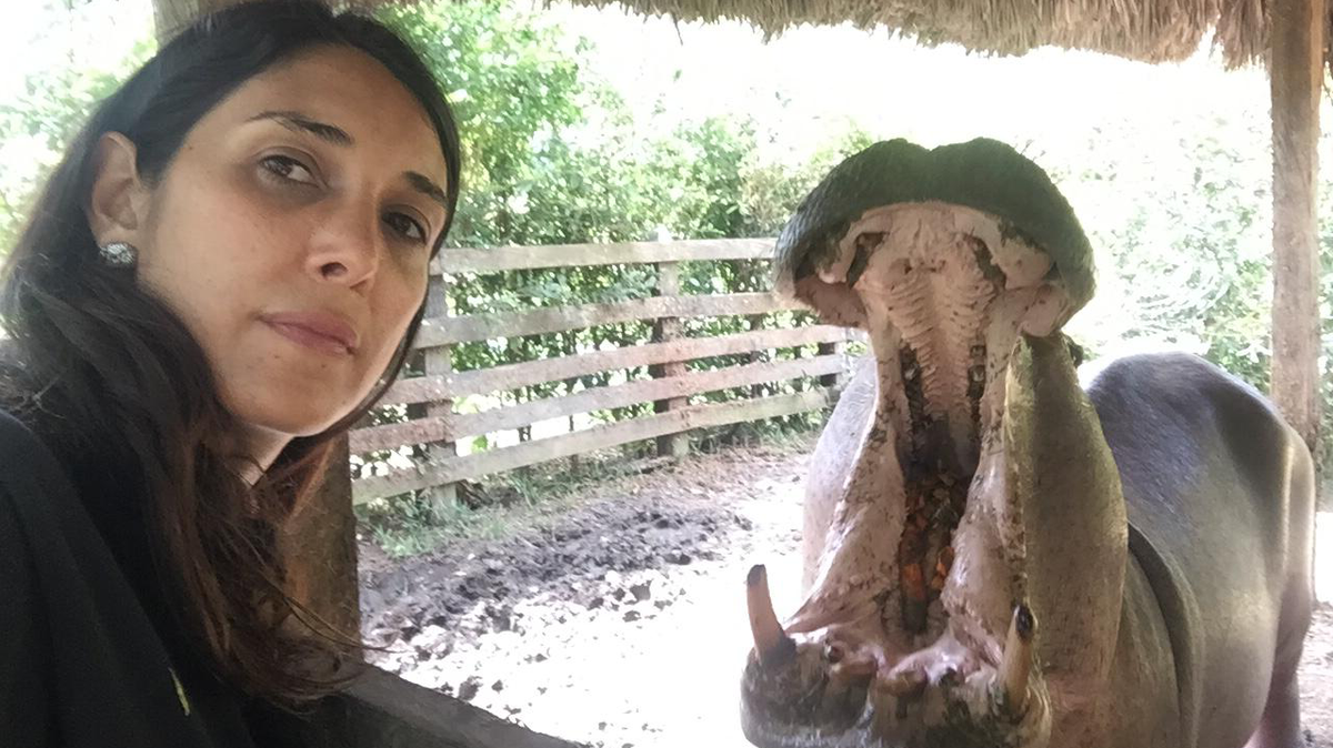 Veterinarian Gina Serna with a “pet” hippo found on a farm in Colombia during the filming of the Smithsonian Channel documentary “The Hunt for Escobar’s Hippos.”
