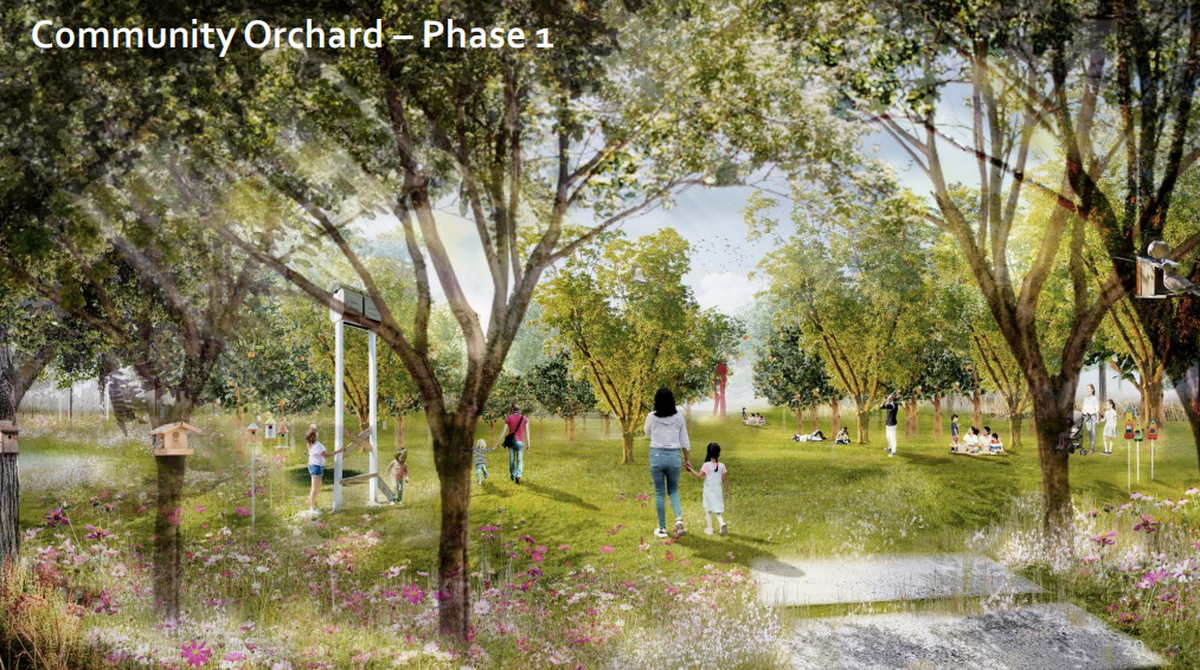 A rendering of what the orchard could look like at the Kellam-Wyatt Farm.