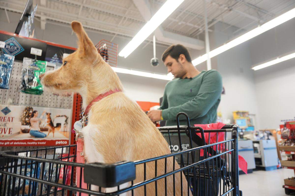 Drew Pescaro and his dog Lily, on a $500 shopping spree at Petco in Durham. Pescaro is a survivor of the mass shooting at UNC Charlotte in April. Photographed on Dec. 12, 2019.