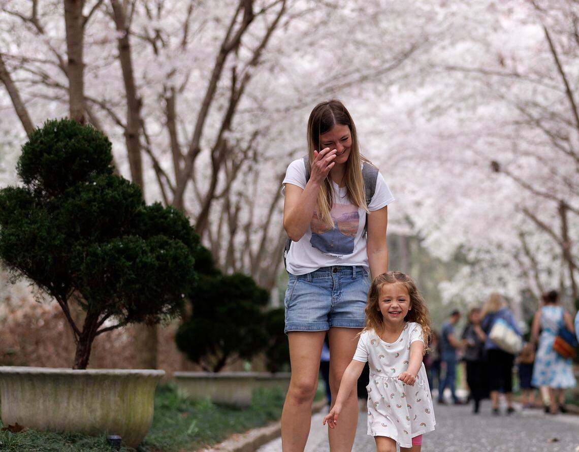 Grace Aliyev, 2, smiles while running through the cherry blossoms with her mother, Danyelle Aliyev, on Friday, March 15, 2024, at Duke Gardens in Durham, N.C.