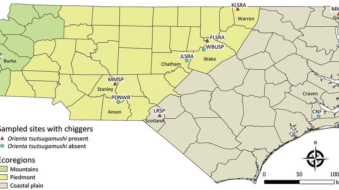 Chiggers infected with potentially deadly bacteria found in NC. Here’s what to do.