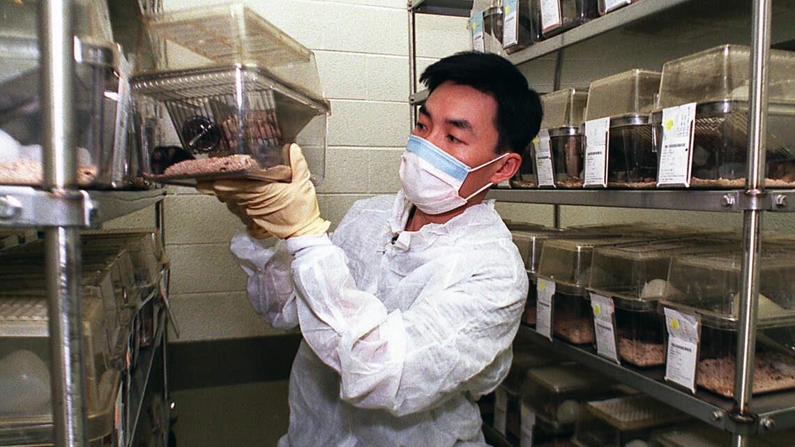 UNC PhD student “makes” mice for cancer discovery— Today in Triangle History