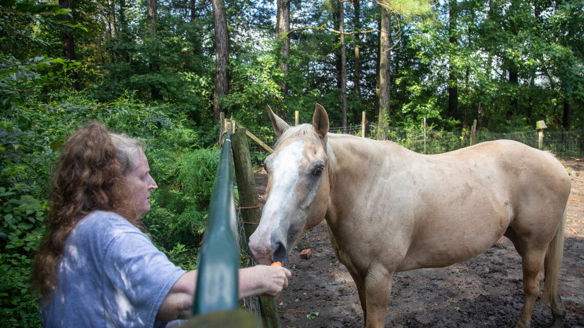 PFAS detected in blood of horses and dogs too near DuPont-built factory in eastern NC