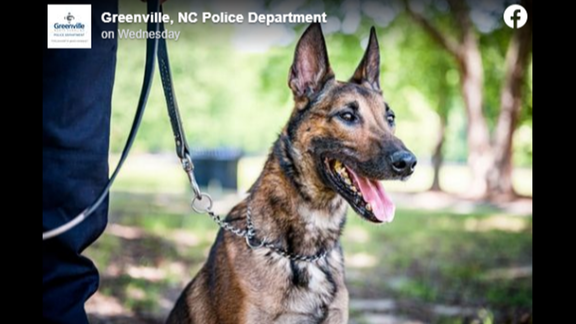 K-9 officer Pepper had been with the department for almost three years.