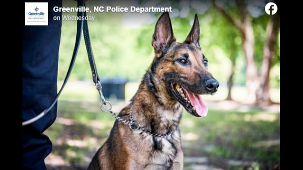 K-9 officer Pepper had been with the department for almost three years.