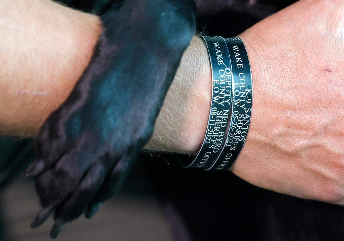 Wake County Master Deputy A. Staton wears two bands on his wrist, one for Deputy Ned Byrd, who was fatally shot in 2022 and one for K-9 Santos, who was killed in 2023. Staton adopted Sasha, Ned Byrd’s beloved K-9, after Byrd was killed. Sasha and Staton were photographed Tuesday, Sept. 3, 2024.