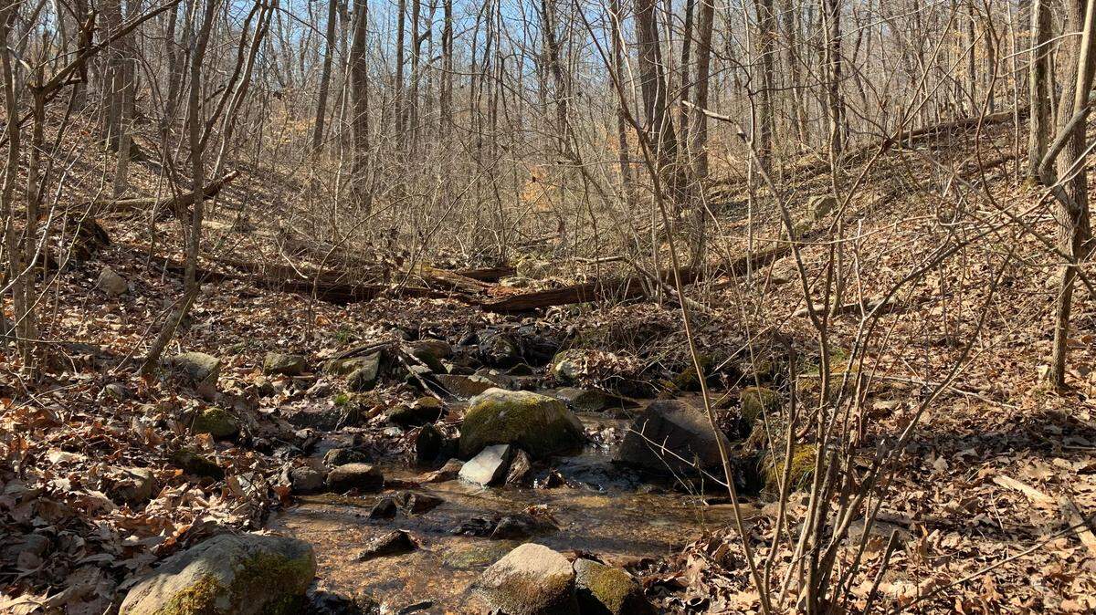 Buggy Shop Branch flows through the new Cane Creek Mountains Natural Area in southwest Alamance County.