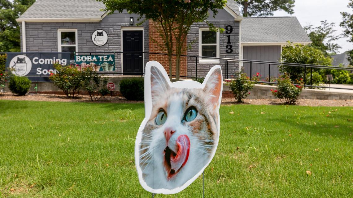 Damion and Kayleigh Posey have converted this home on S. Main Street in Fuquay-Varina, N.C. into their new business, the Right Meow Cat Cafe. They will offer a variety of beverages including coffee drinks, and boba tea. Patrons must reserve time in the cat room which is separate and adjacent to the cafe.