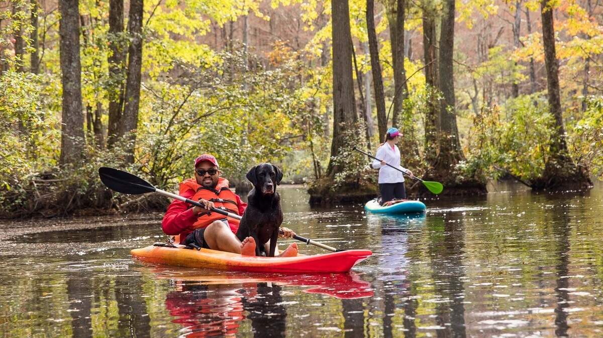 People (and dogs) kayak at Robertson Millpond Nature Preserve.