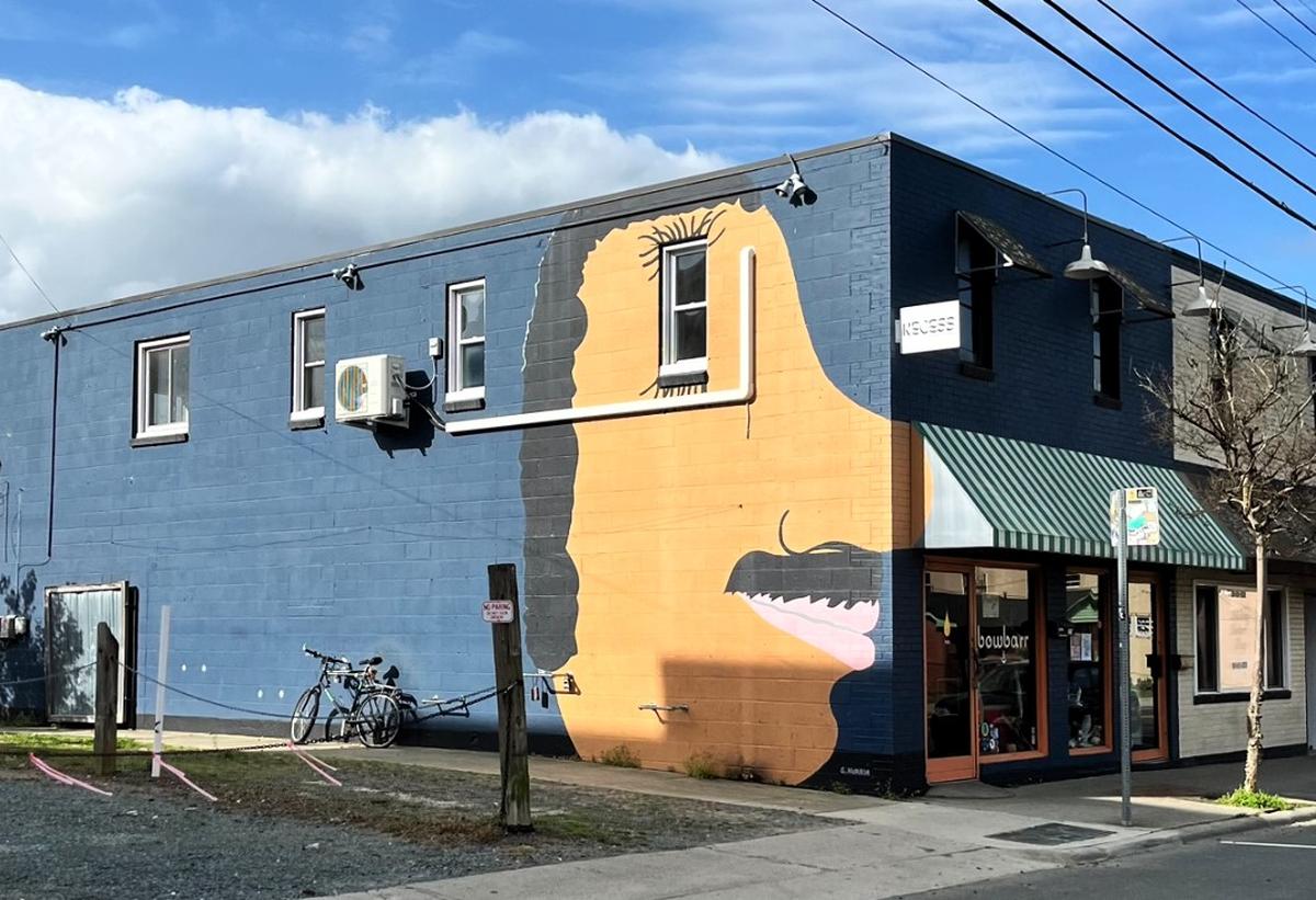 The profile of a mustached man whose eye is formed by an upstairs window has been the most prominent marker for years of Bowbarr’s location on West Rosemary Street. Co-owner Amanda Barr says the town should do more to help east end businesses.