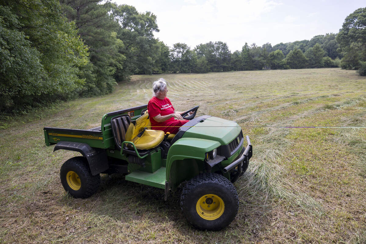 Dorasue Christian surveys a portion of her 22-acre farm on Tuesday, July 28, 2026 in Moncure, N.C. Christian is concerned about a proposed natural gas pipeline crossing her property.