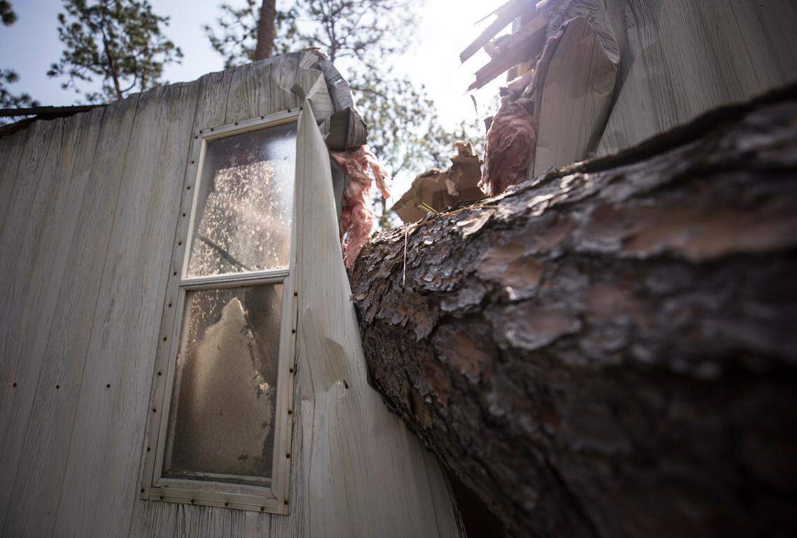 Pine trees fell onto Betty Coleman’s trailer before large amounts of rainfall had even arrived in Wilmington, N.C. Coleman and her son, Jon, have been staying in the condemned trailer while they try to figure out how to move her furniture and precious possessions to Kenansville where they will live together.