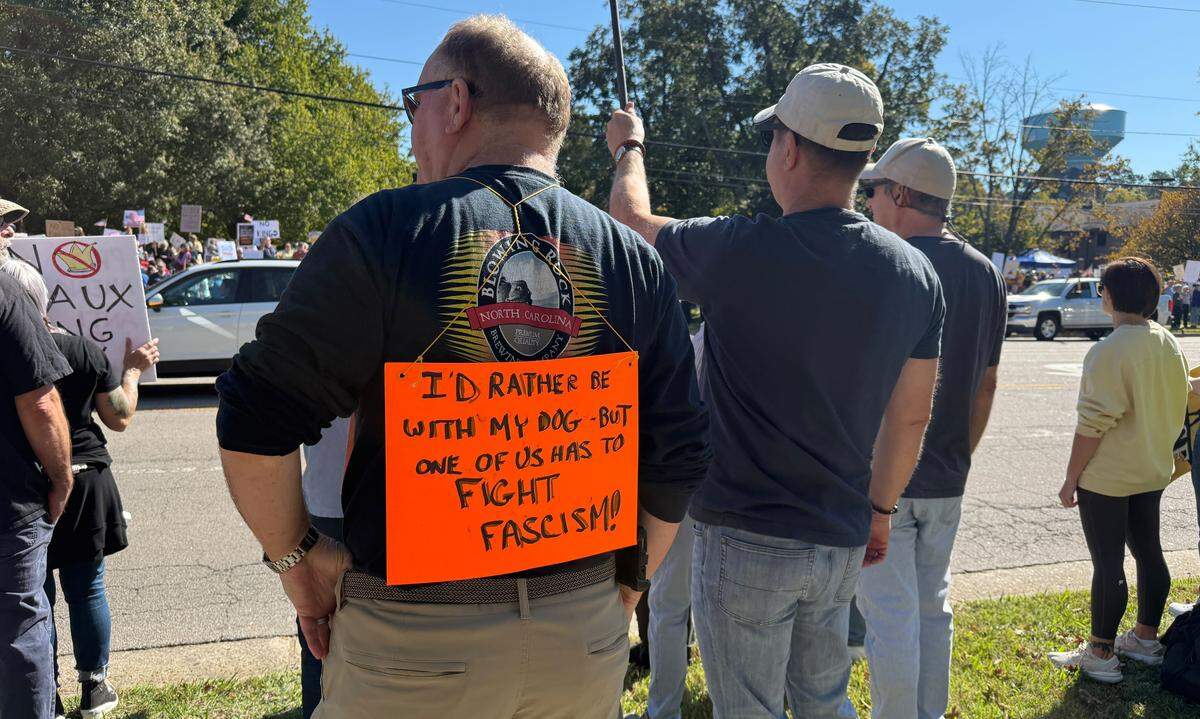 No Kings protesters, many with creative signs, lined sections of Cary Parkway, Saturday, October 18, 2025.