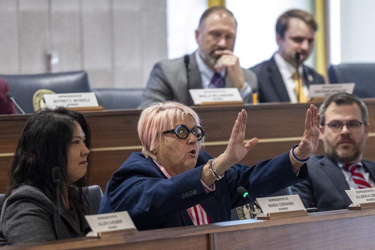 Rep. Allison Dahle, a Wake County Democrat, center, speaks during an N.C. House committee hearing on Dec. 10, 2025, in the Legislative Building auditorium in Raleigh.