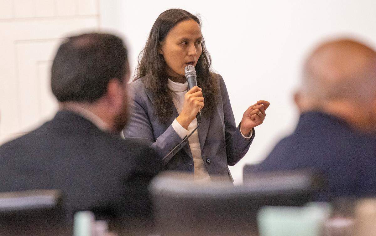 Rep. Ya Liu, A Wake County Democrat debates an abortion restriction bill on the House floor Wednesday, May 3, 2023 at the State Legislature Building. The House passed the bill.