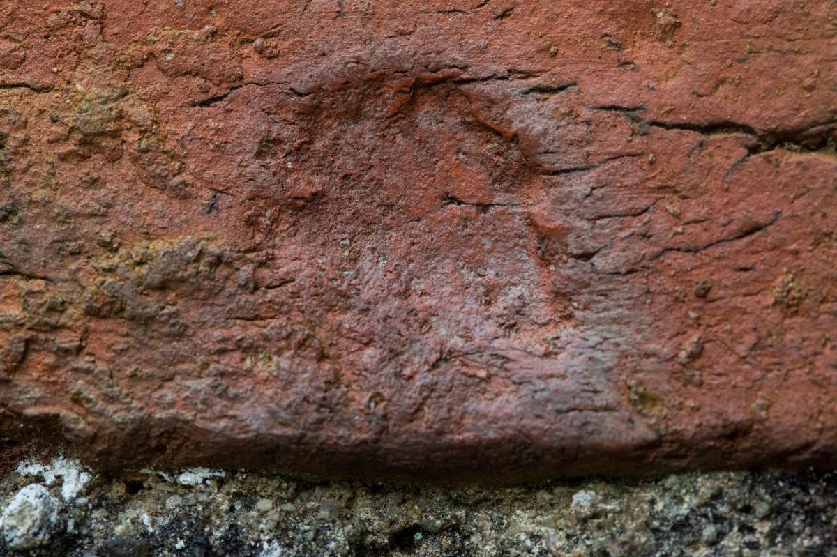 A thumbprint can be seen in the brick chimney that was built by people enslaved at the former Stagville Plantation, on Saturday, June 12, 2021, in Durham, N.C.