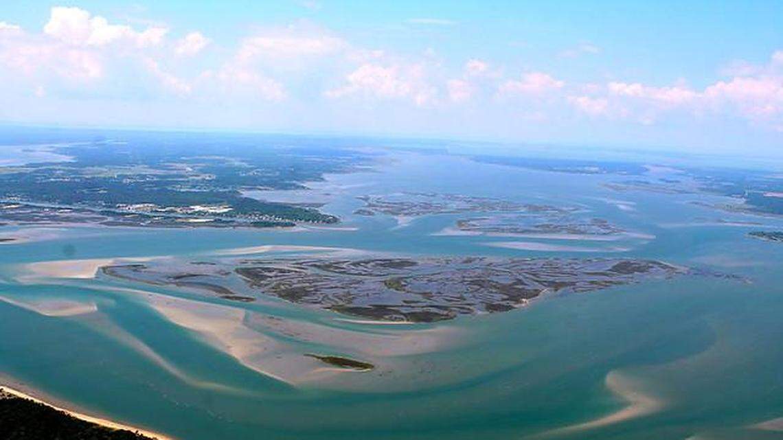 A dolphin was found dead in the Rachel Carson Reserve near Beaufort, North Carolina, officials say.