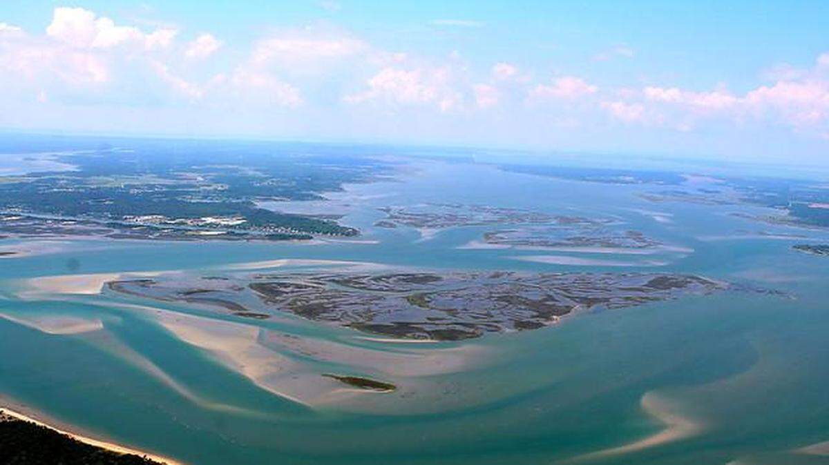 A dolphin was found dead in the Rachel Carson Reserve near Beaufort, North Carolina, officials say.