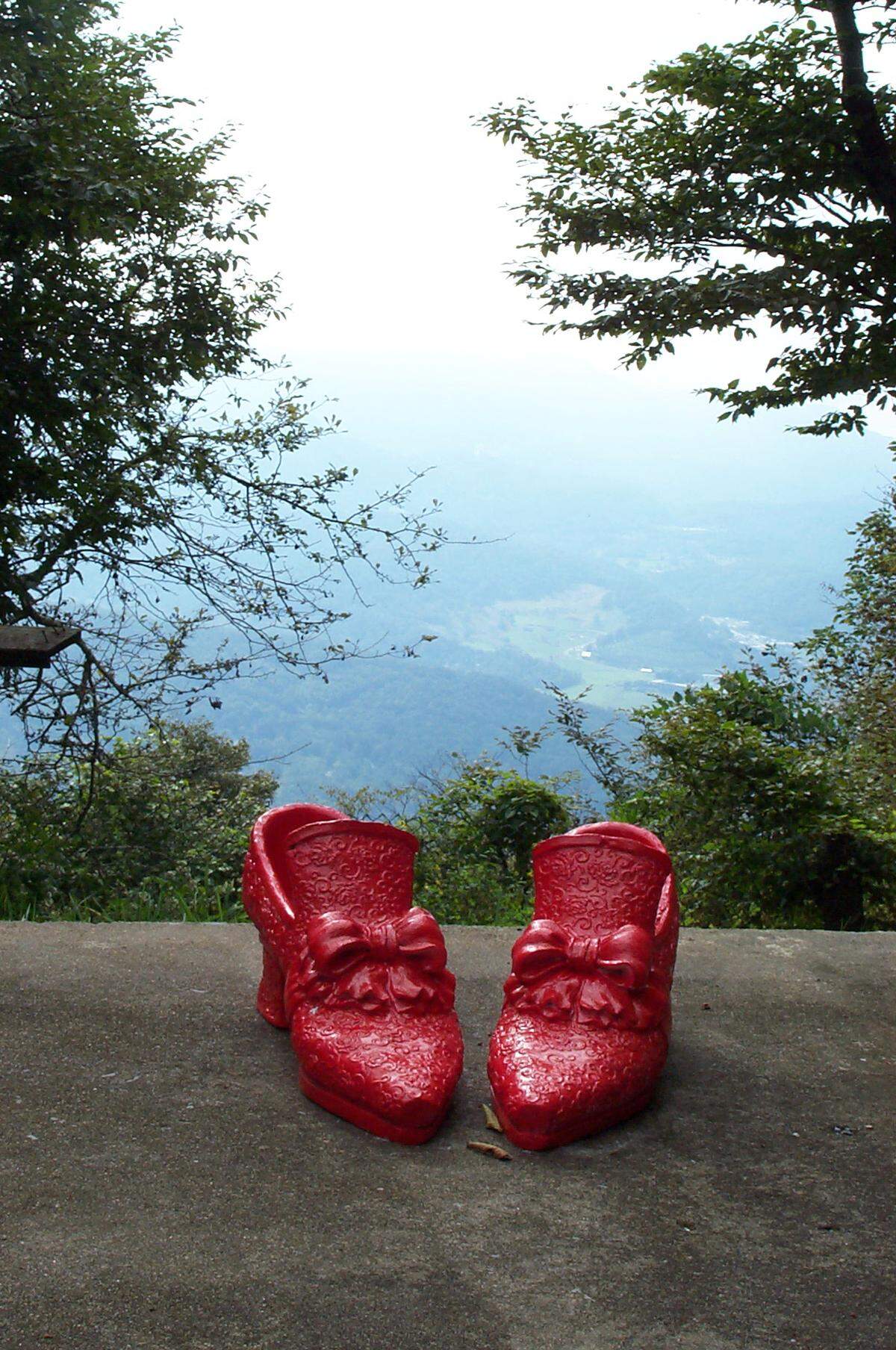 Fans of the Land of Oz attraction in Beech Mountain in the North Carolina mountains were distraught over its sudden, announced closing on Friday, March 14, 2025.