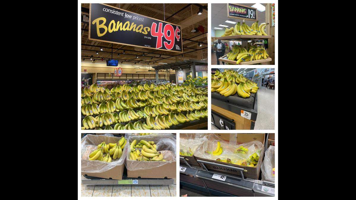 Banana prices at a few grocery stores in Raleigh in June 2022. Clockwise: Wegmans, Trader Joe’s, Walmart, Lidl and Aldi.