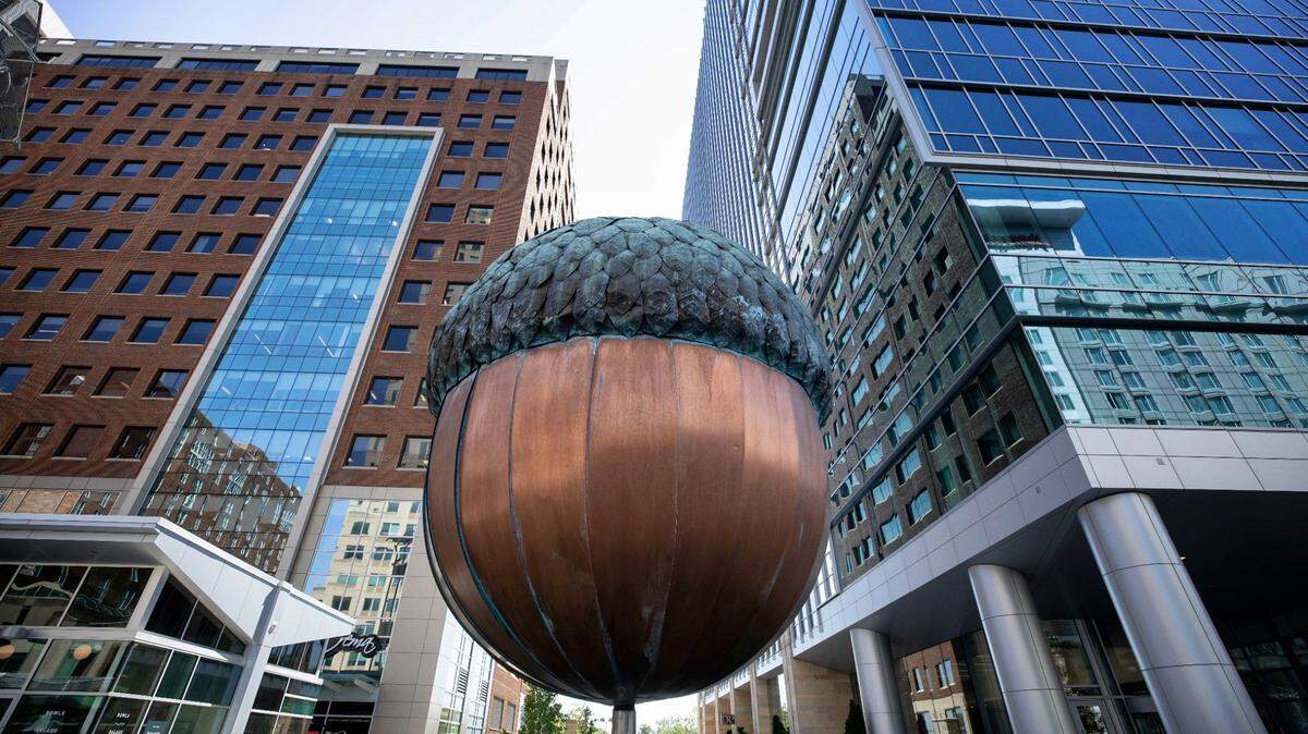 Raleigh’s acorn sculpture in downtown.