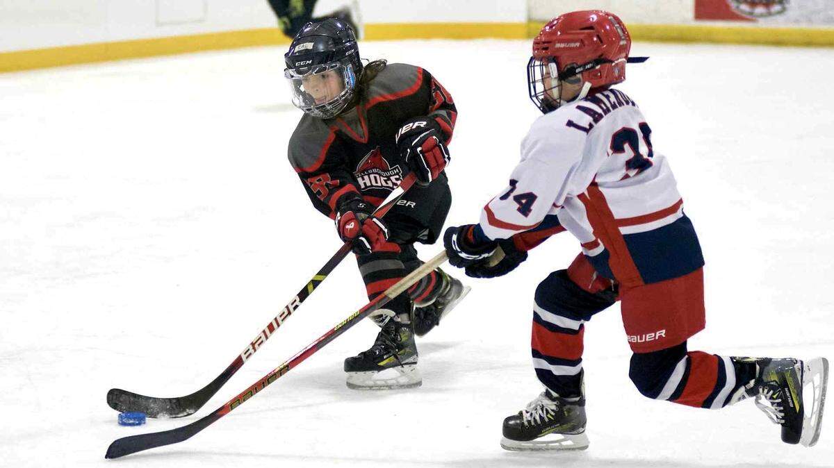 The Hillsborough Hogs offers travel and house, or recreation, play for children ages 6 to 18. The Hogs, also known as Triangle Youth Hockey of North Carolina, are losing their longtime home at the SportsPlex in Orange County.
