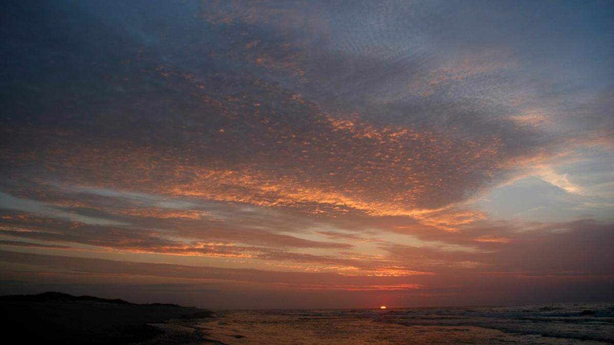 A leatherback sea turtle made a rare appearance at North Carolina’s Cape Lookout National Seashore, the National Park Service reports.