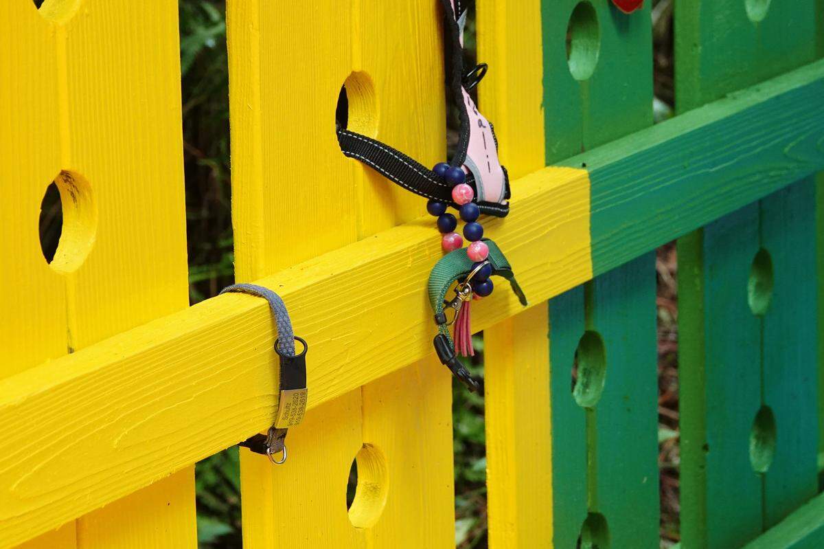 A collar is left in tribute to a lost pet at the Rainbow Bridge in Greenfield Lake Park in Wilmington.